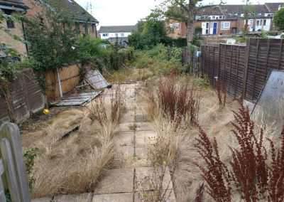 an overgrown garden and yard full of weeds and broken fences